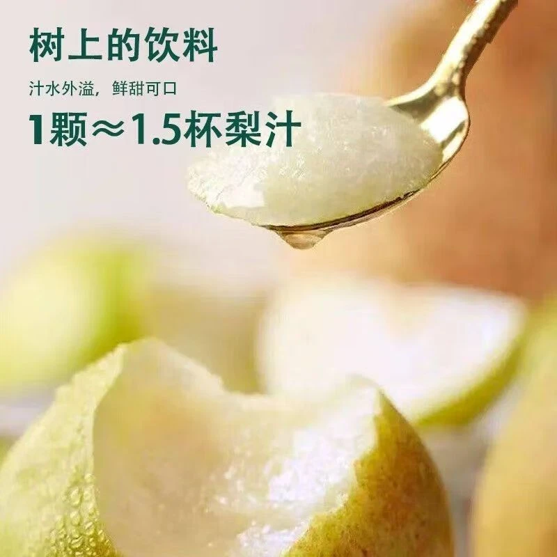 山西隰县玉露香梨 精品