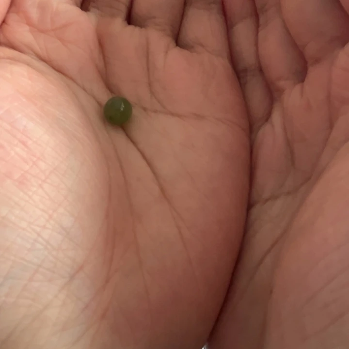 和田玉散珠一颗未镶嵌羿****?