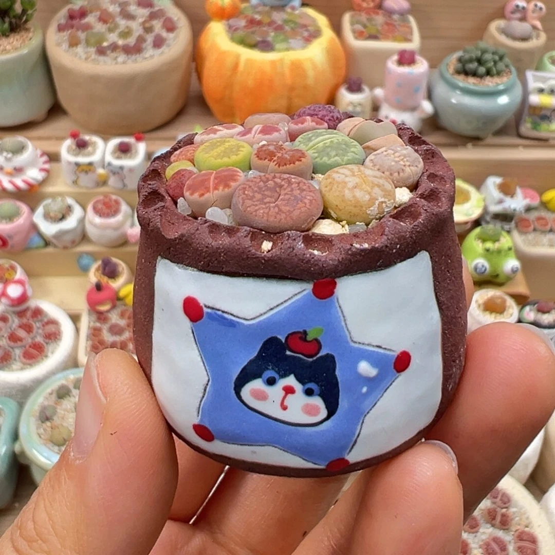 多肉植物57号彩色