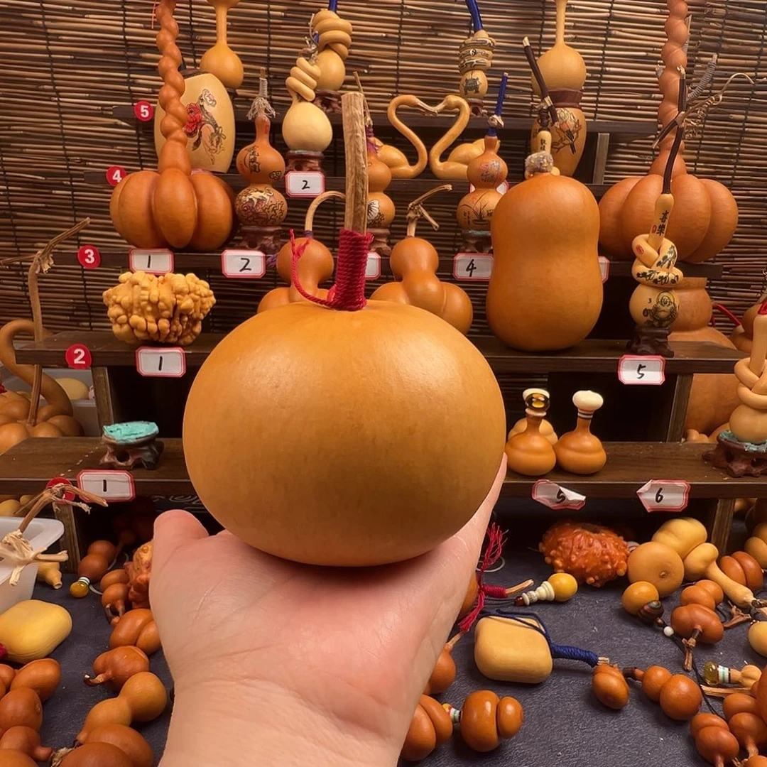 金***灿哈哈哈哈哈哈哈哈哈哈