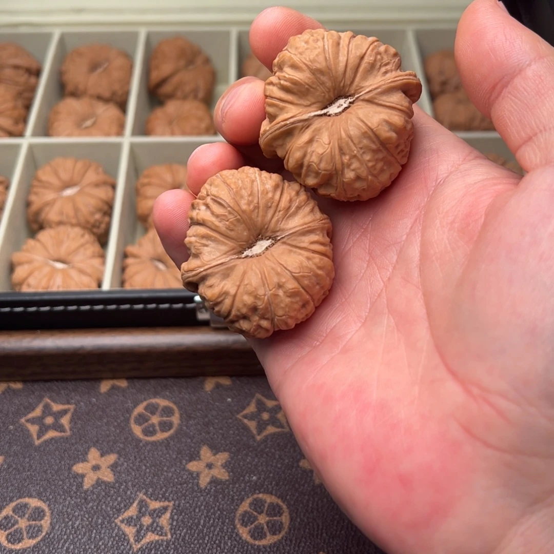 如***翼173-1112如虎添翼44