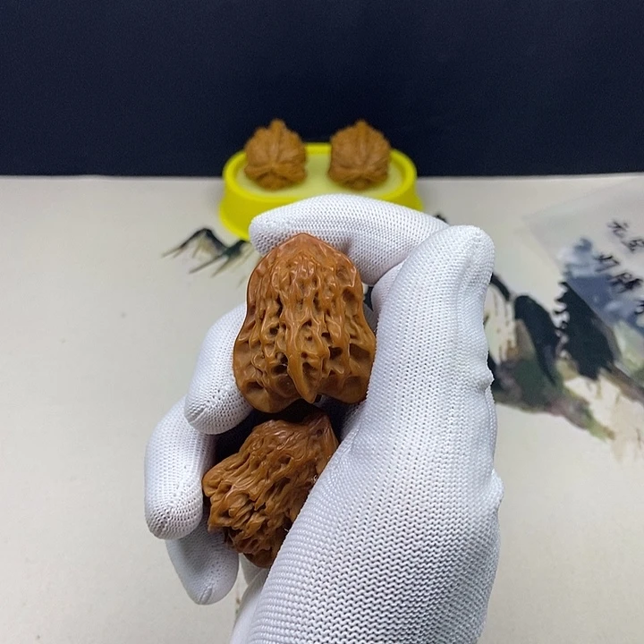 核桃核桃等经济作物的栽培技术研究