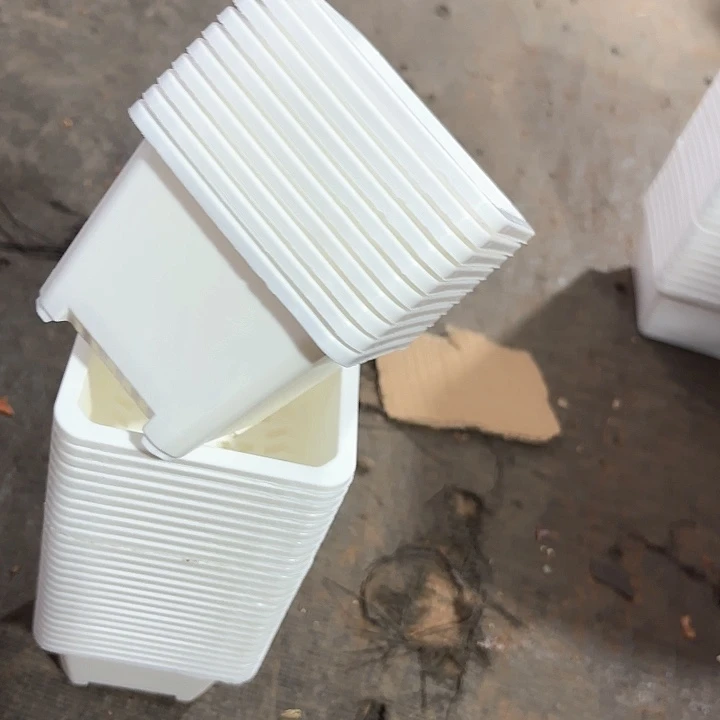 100白方盆9公分高7公分20个