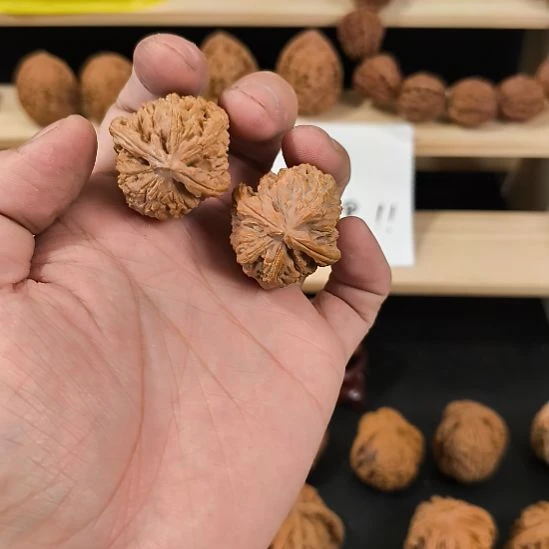 吊坠文玩核桃32白狮子