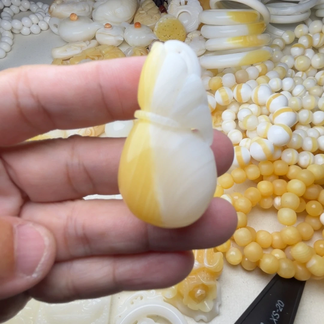 非金属贝壳?***菇天然贝壳