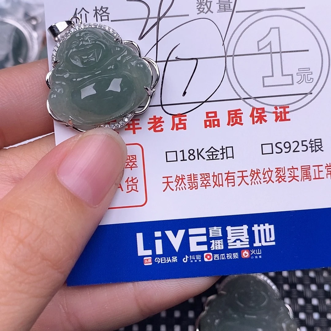 y***i翡翠银S925镶嵌颈饰