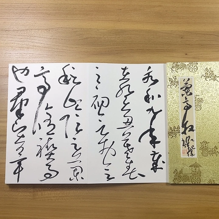 书法中书协会员作品