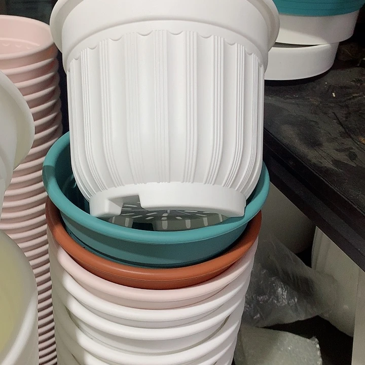 罗马口21白4个无托