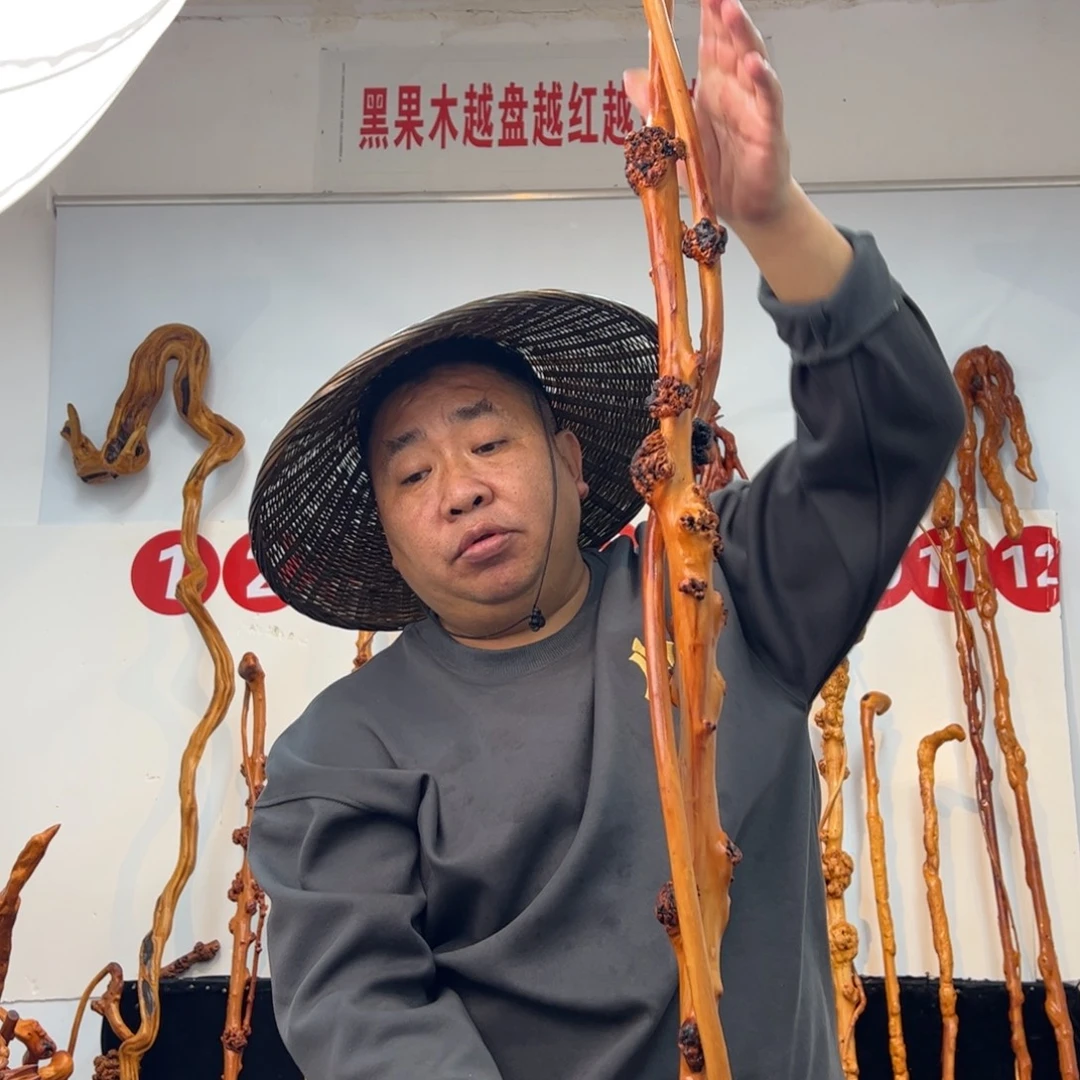 用***7其他黑果木黑果木021