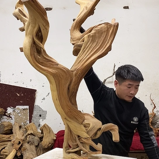 传***平柏木我们都是好孩子