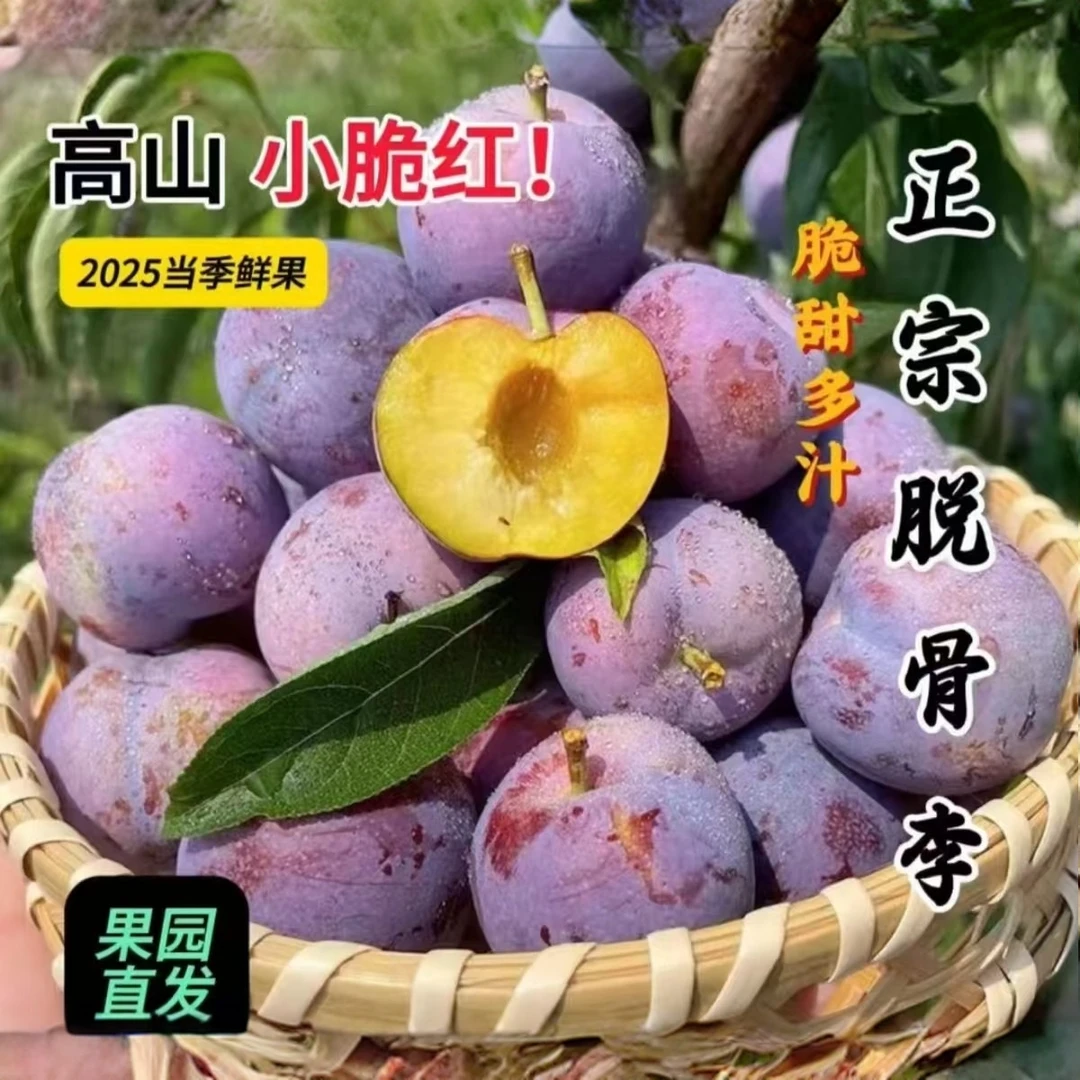 【正宗】四川汶川产地直发高山红脆李脆甜爽口全国包邮坏果包赔