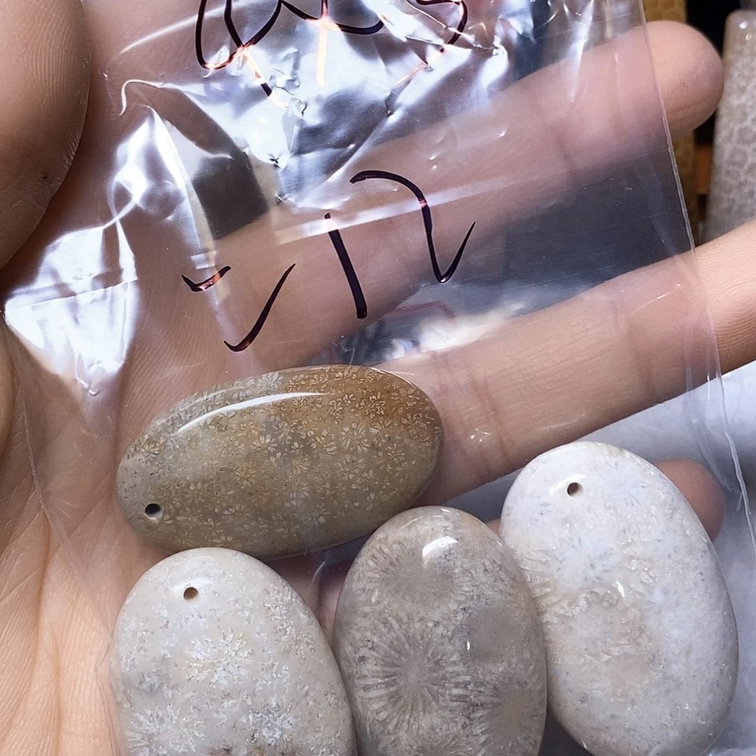 硅化玉颈饰未镶嵌喵****）