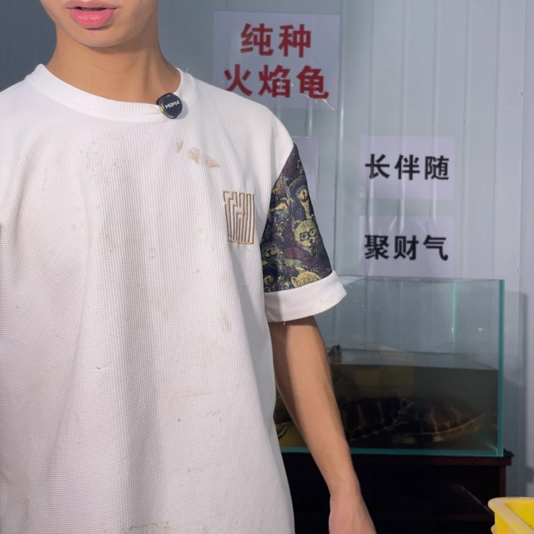 母火焰龟海**妹5斤火焰鬼