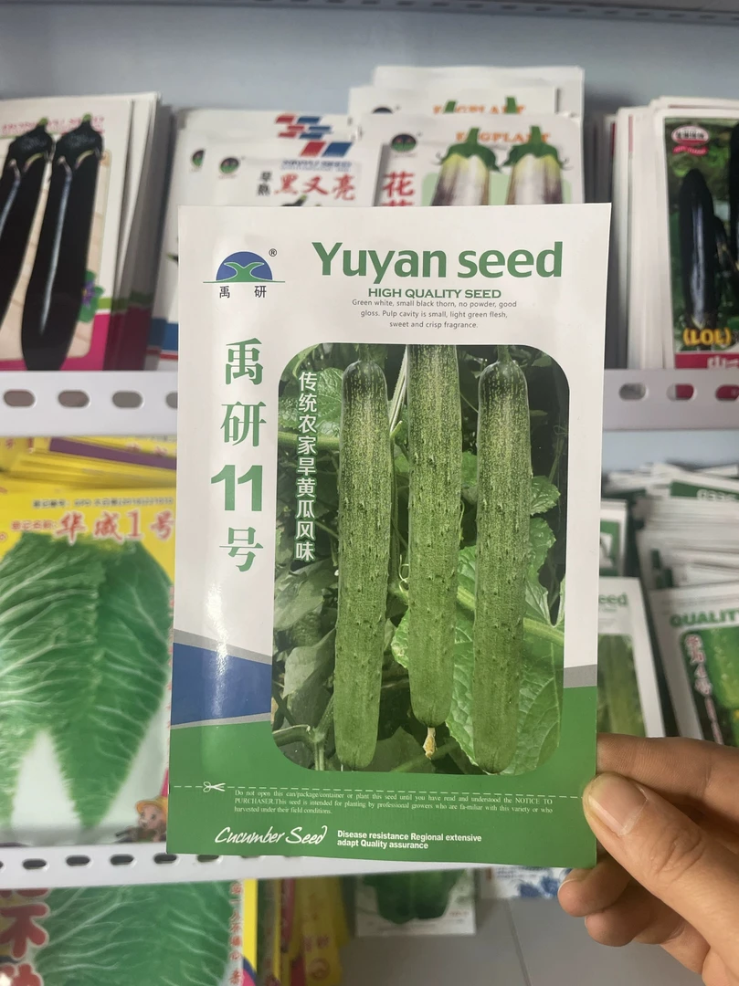 东北老品种旱黄瓜种子禹研11黄瓜籽农家菜园微甜黑刺水果黄瓜种籽