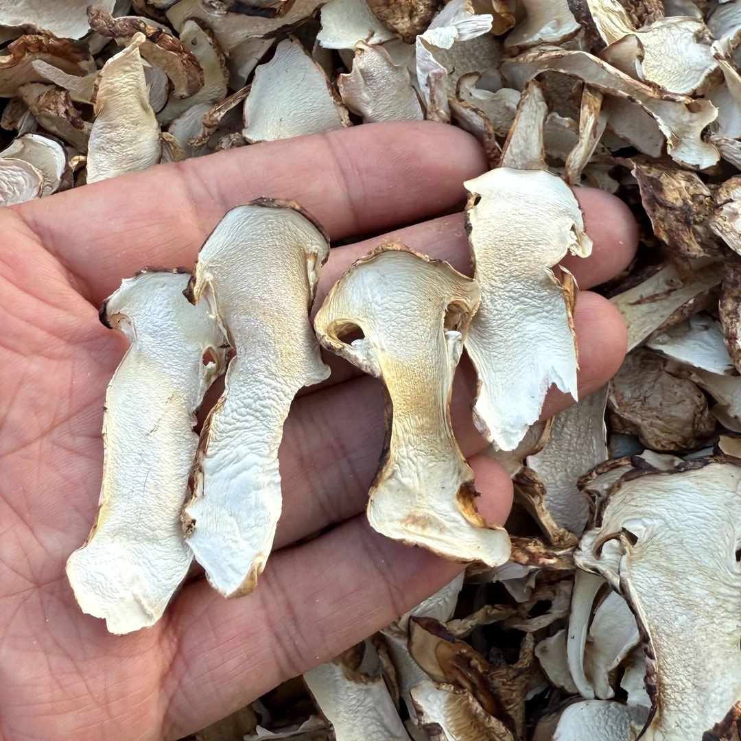 【松茸童子片】云南香格里拉松茸干片童子片醇香浓郁肉质鲜美