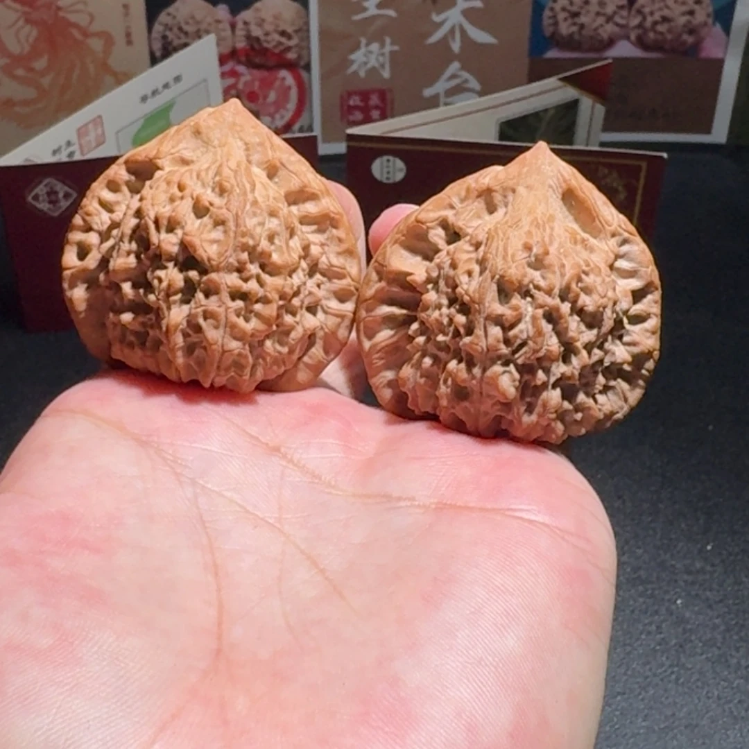 原树朱雀树王编号173尺寸46
