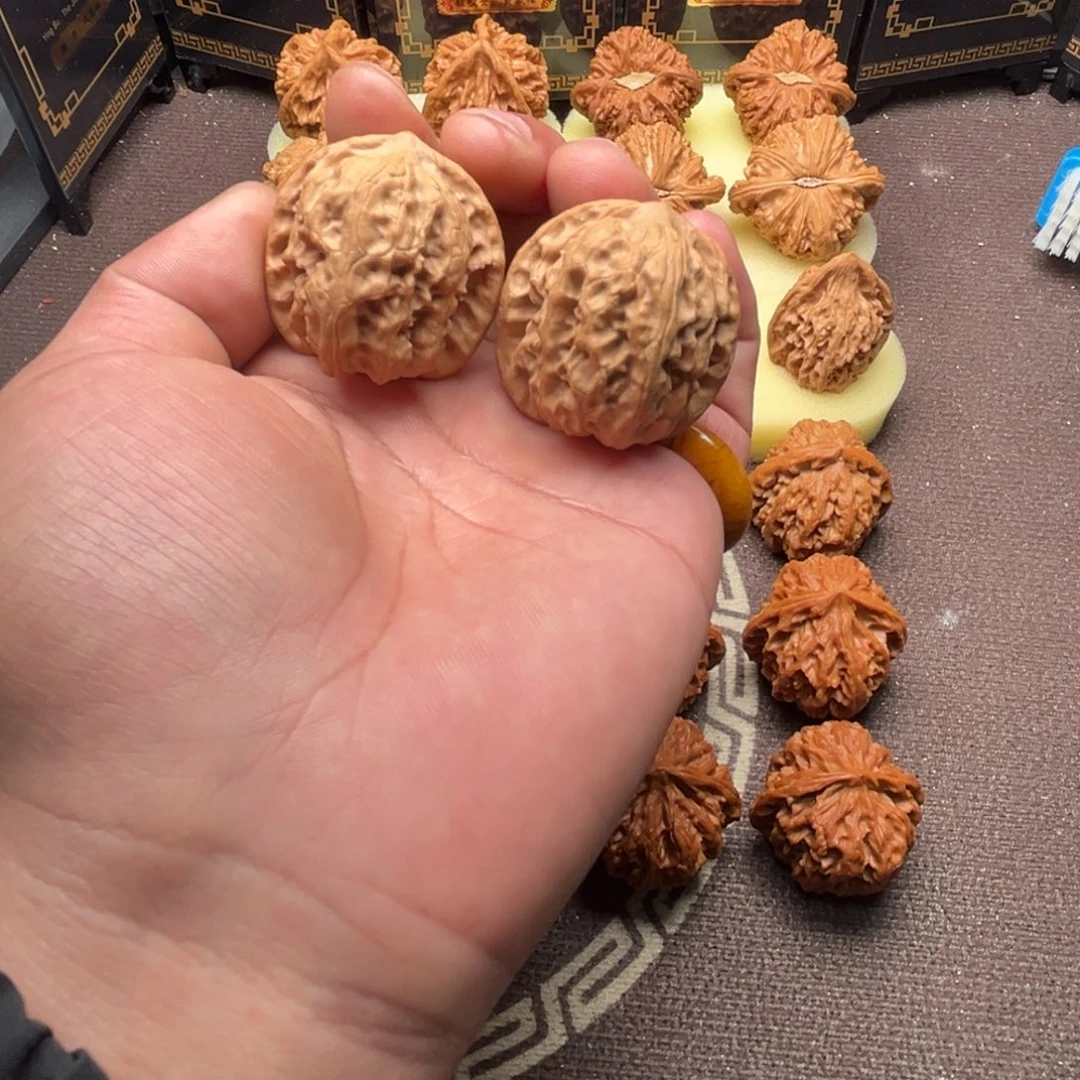 核桃野狼11111111