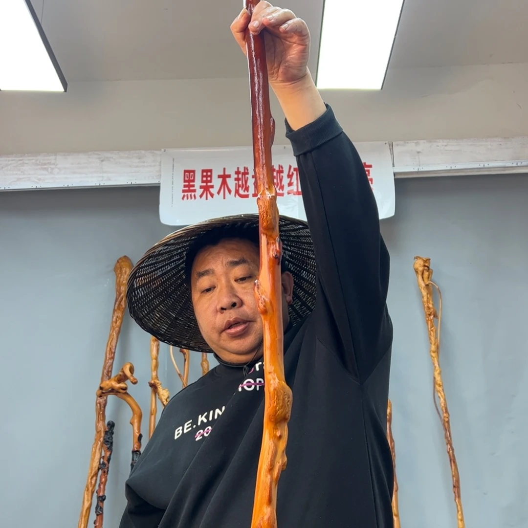 黑果木其他仙**缘黑果木622