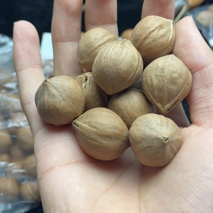 恣***流手串/手链橄榄核2.0