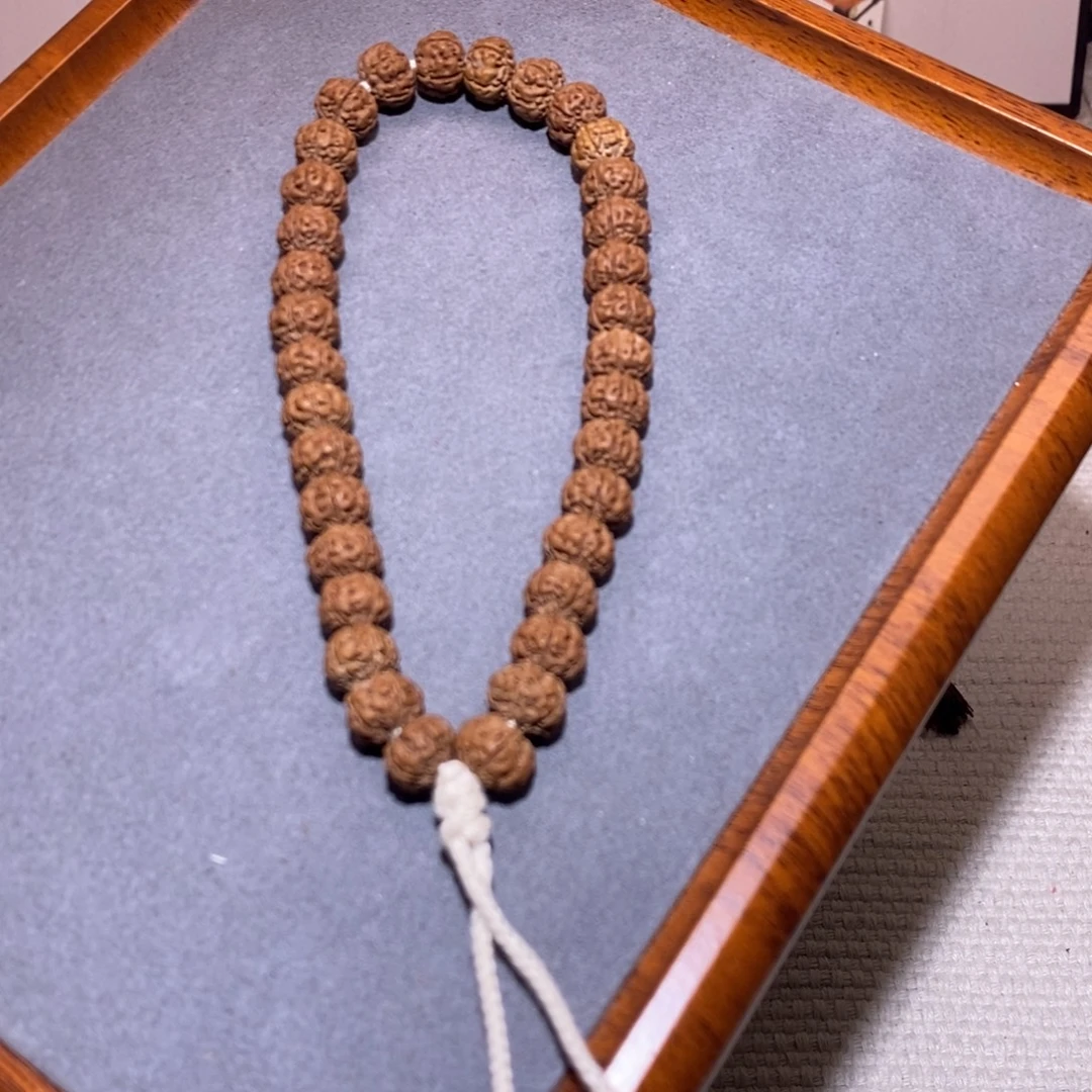 手串金刚菩提001勿里达纯血老树王10.5