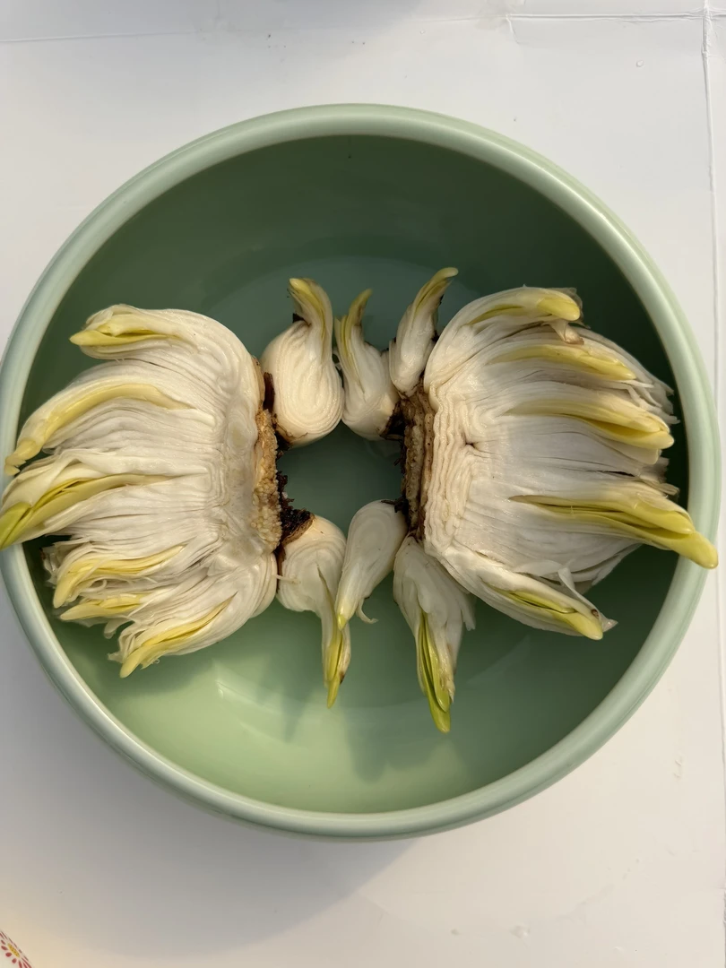 漳州花王水仙上海雕刻刀法