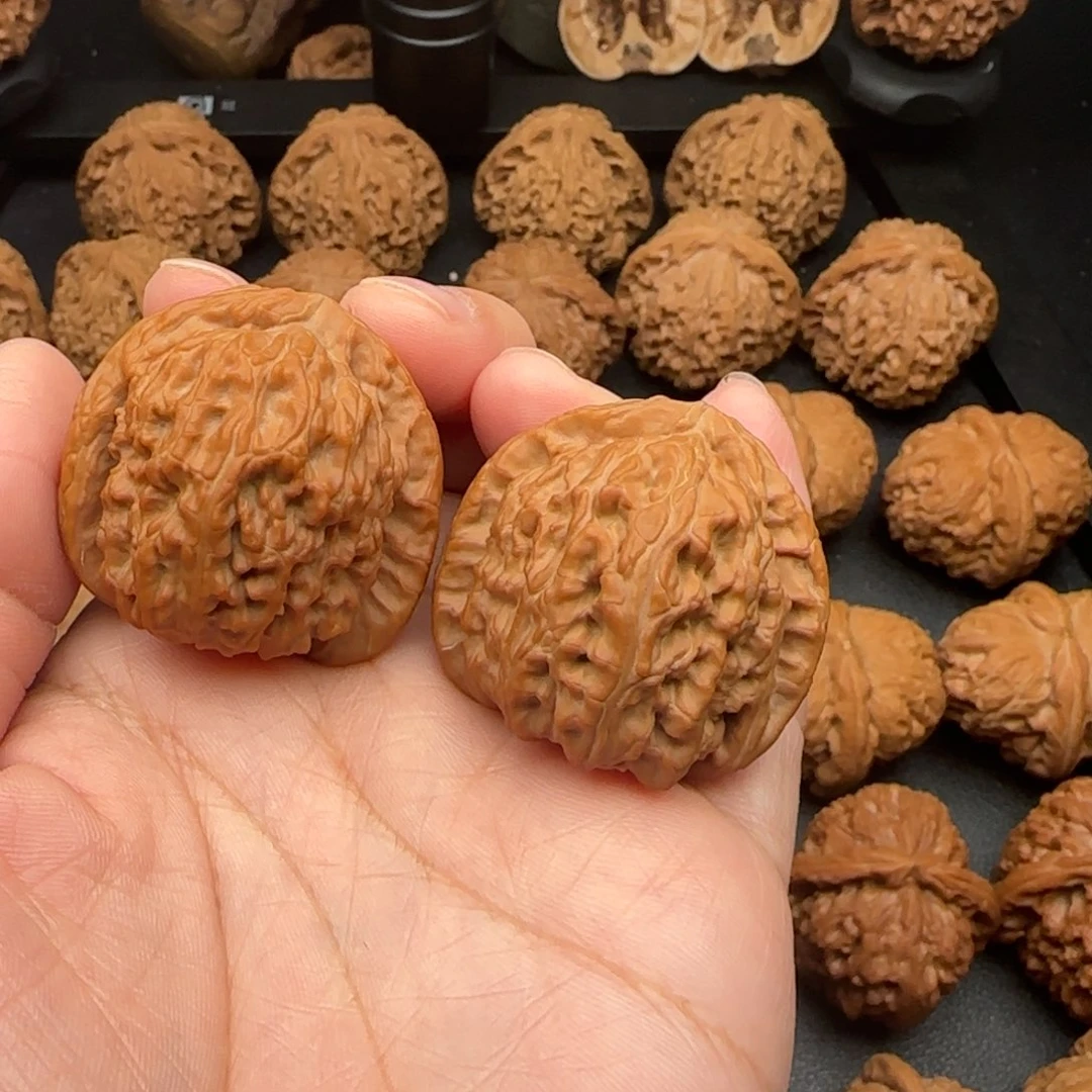 37尺全品无修白狮子