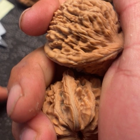 文玩核桃把件西楼15