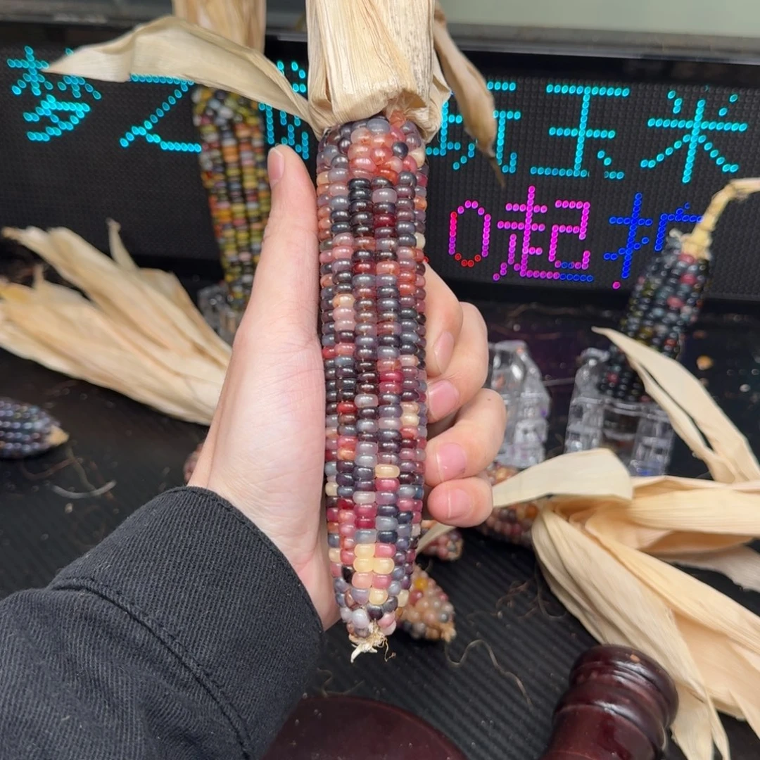 柏香籽/百香籽吊坠。**o