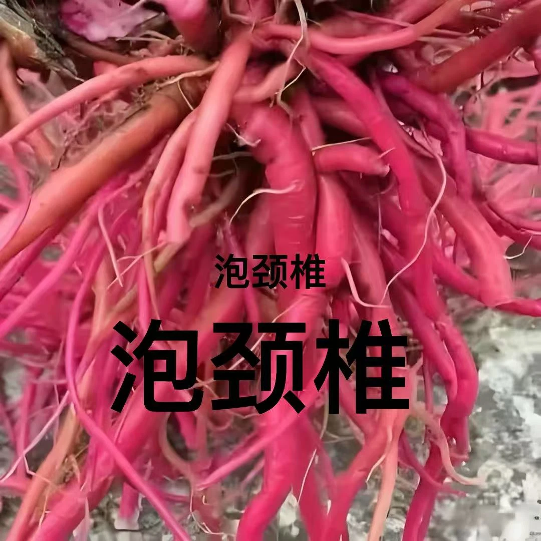 贵州野生红牛滕土牛滕泡脚包