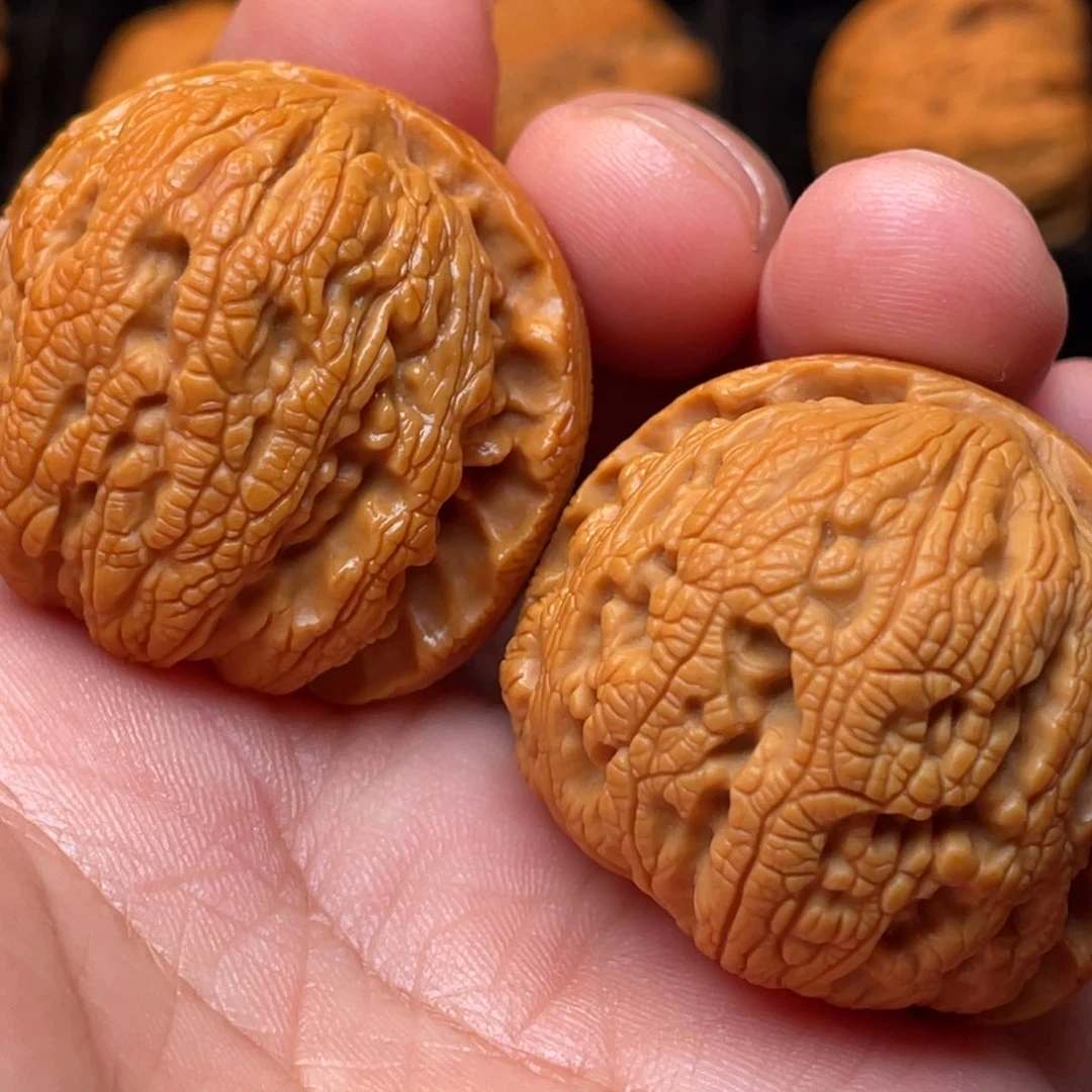 文玩核桃把件40尺寸龙珠