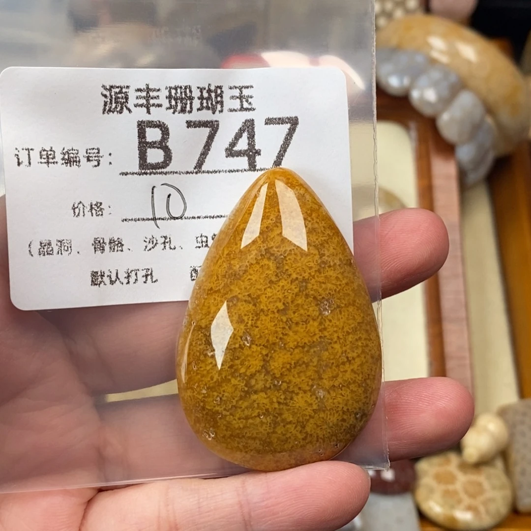 雪***瑞未镶嵌颈饰硅化玉
