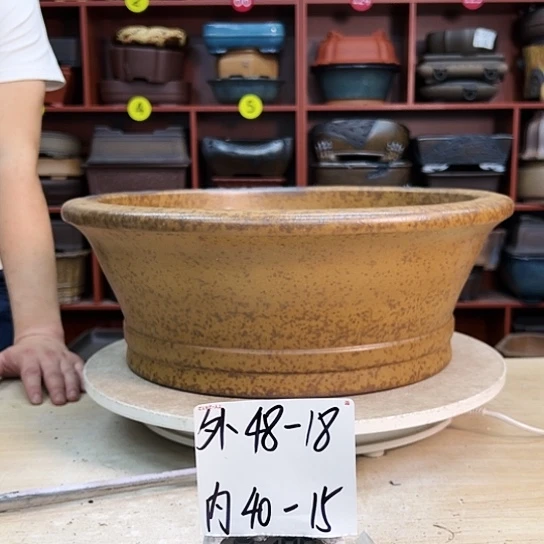 用****8紫砂花盆中放的茶