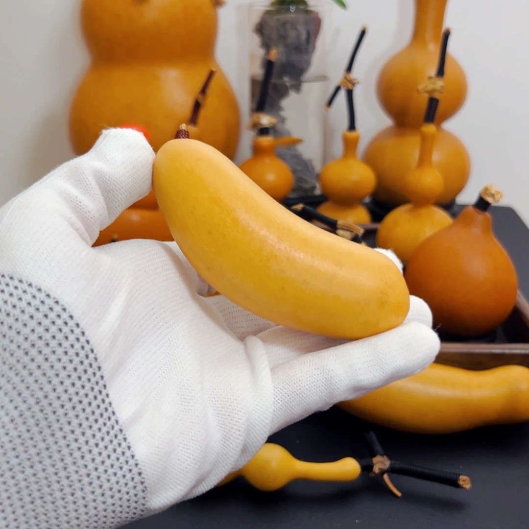 轩***仔大叶紫檀（黑酸枝木类）