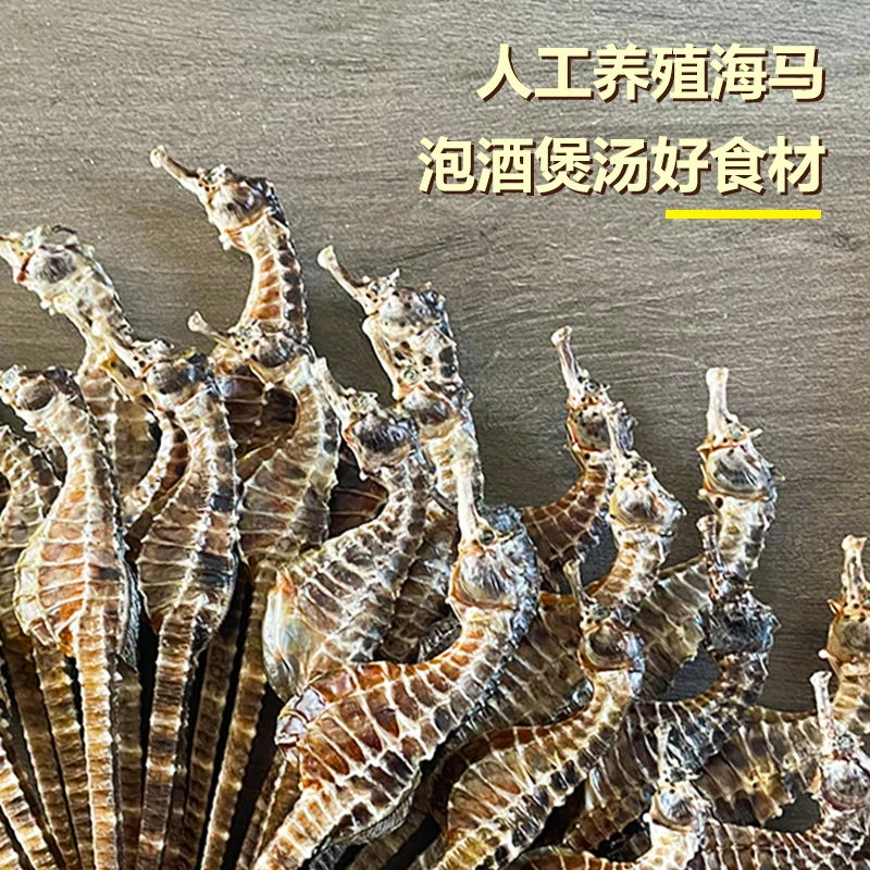 源头直发带溯源码海干货马馬泡酒煲汤料足干足重中马国际海马养殖