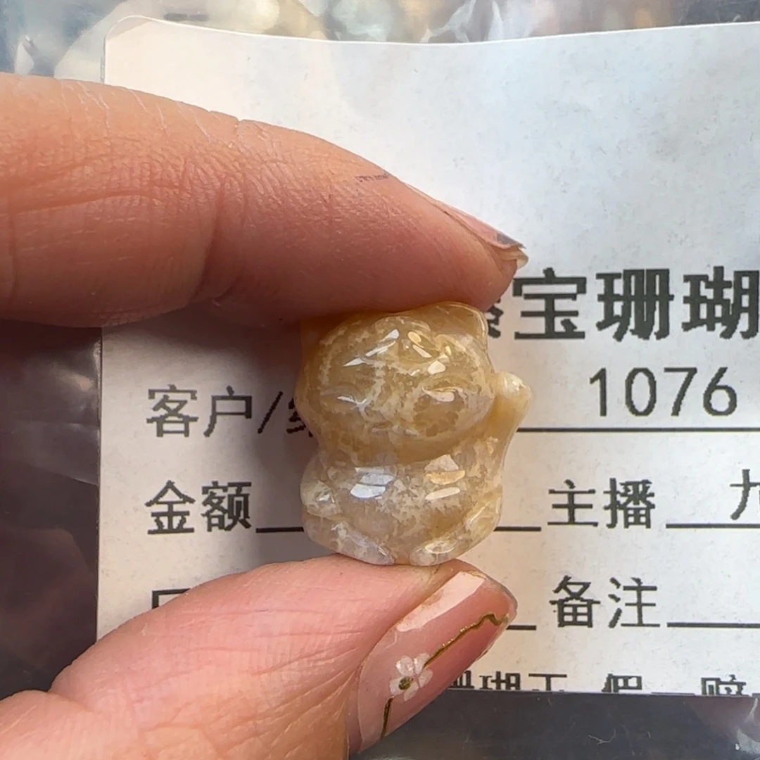 硅化珊瑚（珊瑚玉）未镶嵌颈饰