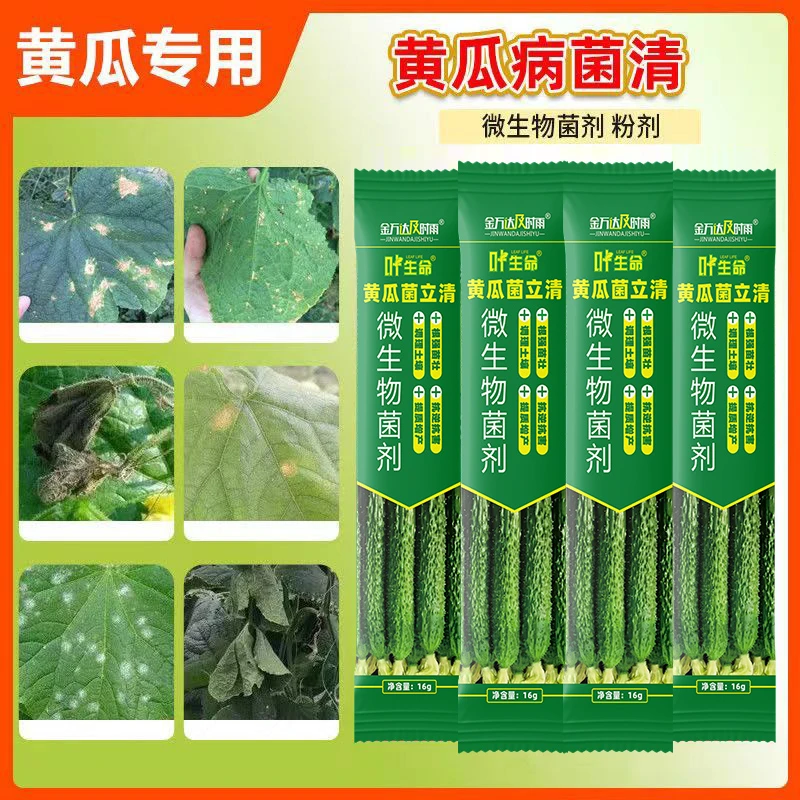 黄瓜专用药黄瓜病全治靶斑病灰霉病角斑病斑点病霜霉病黄瓜杀菌剂