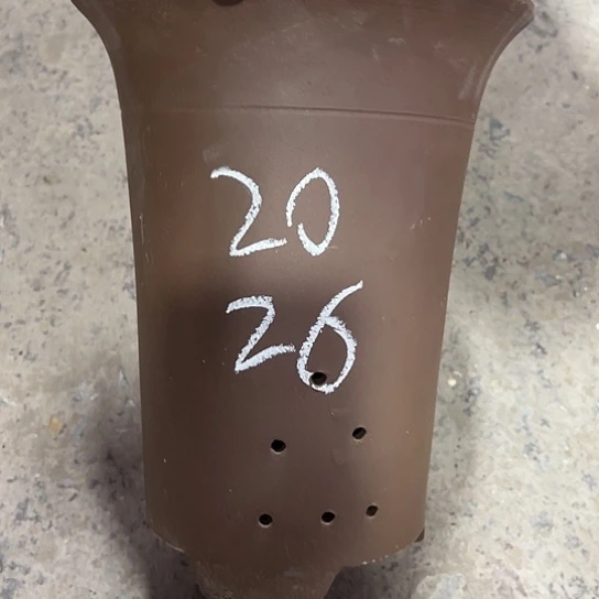 紫砂工艺厂……紫砂工艺厂……