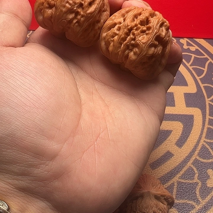 核桃04号 元宝 全品 42尺