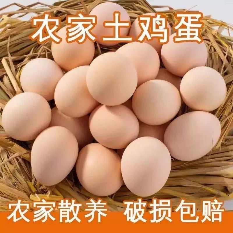 江西高山散养富硒土鸡蛋农家土鸡蛋