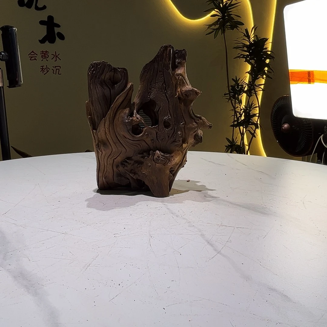 瓦当?*906 沉木入缸会黄水23 9 27