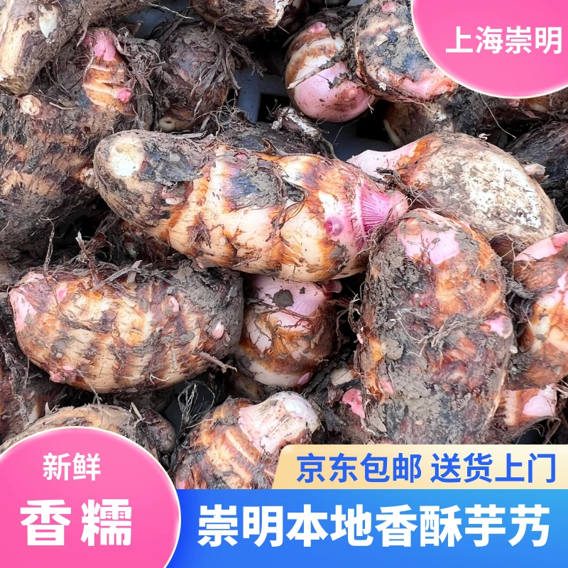 【正宗崇明芋艿】香酥红梗毛芋头香芋艿新鲜现采挖带皮发货京东包邮