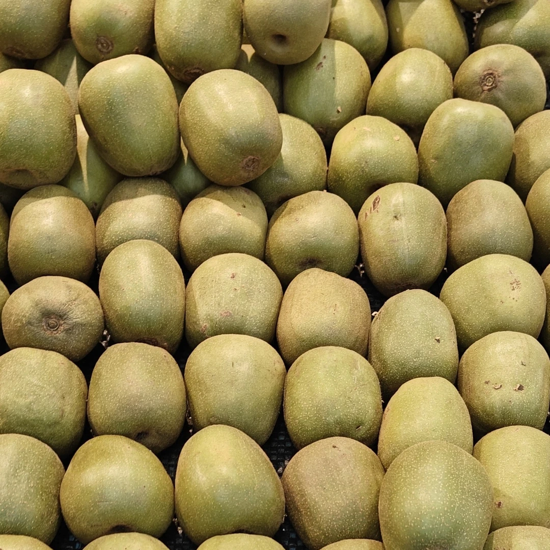 北川高山红心猕猴桃