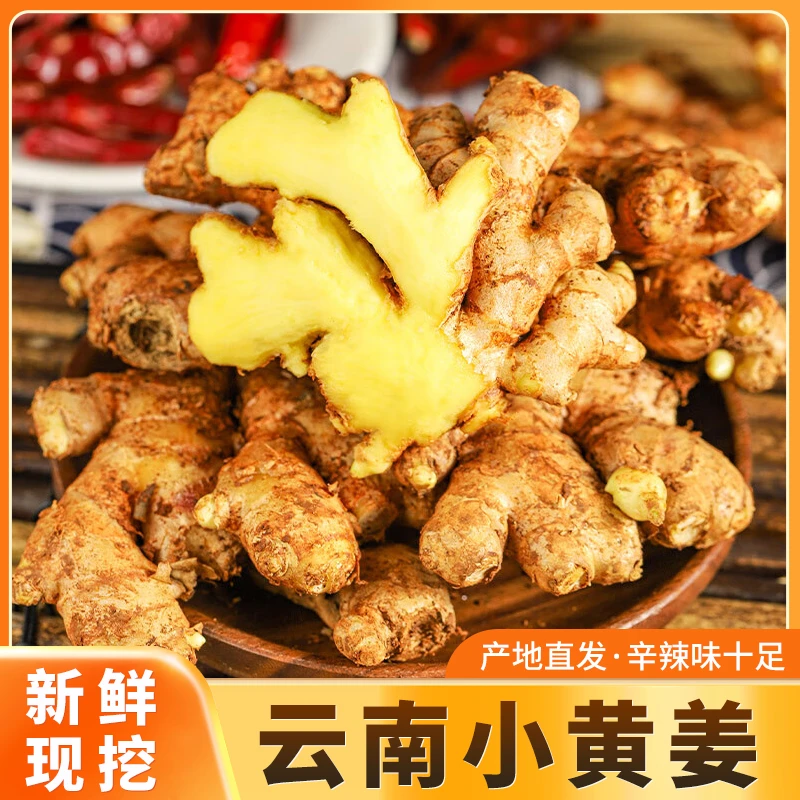 正宗云南小黄姜新鲜现挖姜香浓郁可作蔬菜调料老姜