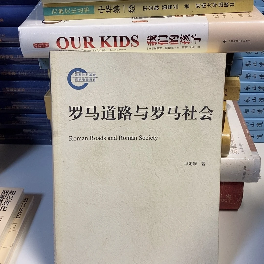 罗马道路与罗马社会  瑕疵