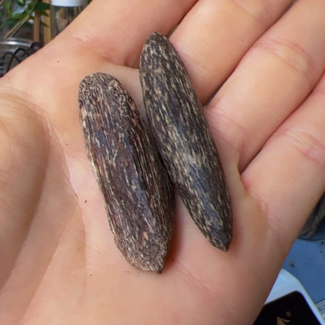 【闪购商品】沉香碎屑沉香两****）海南野生沉香虫漏老料2.7克