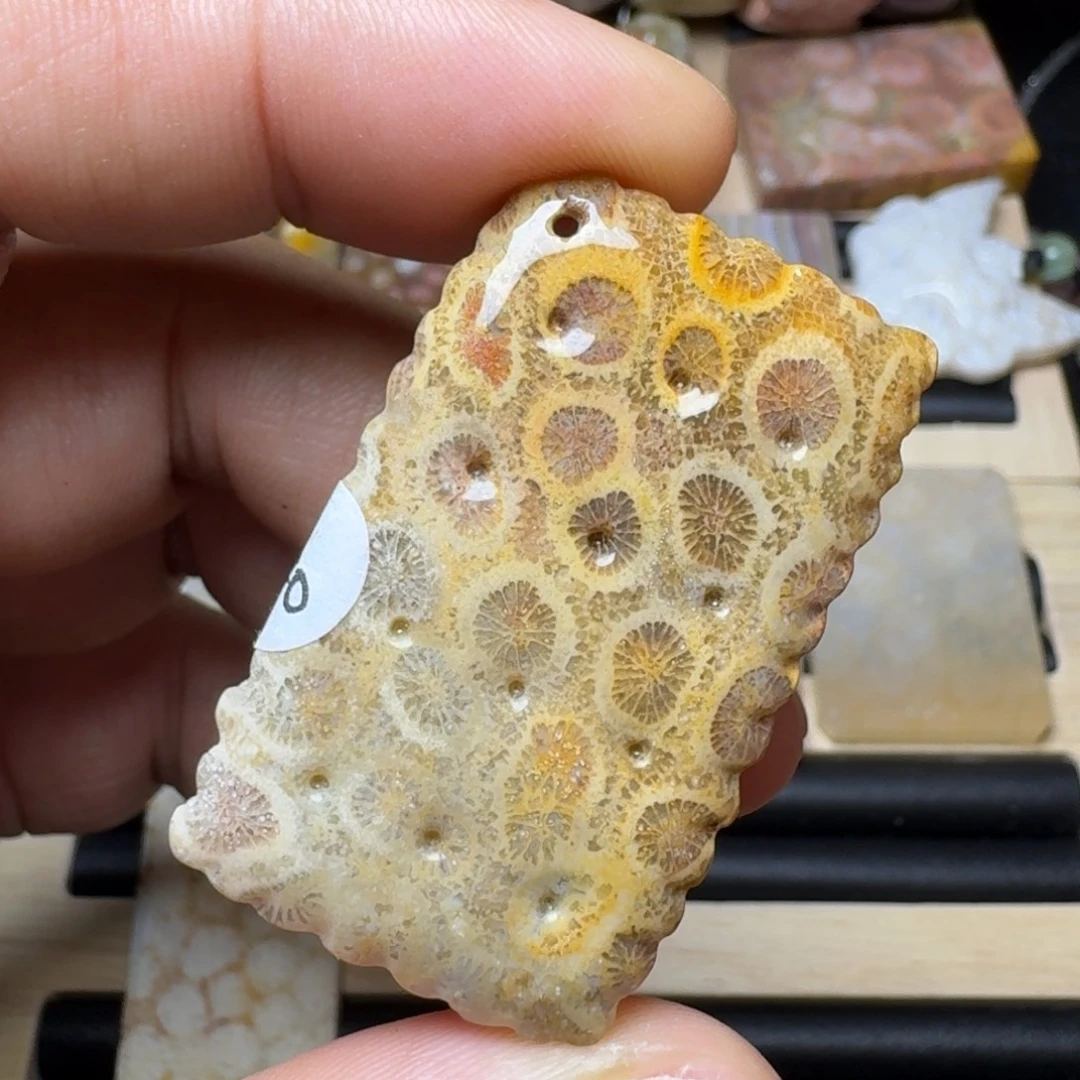 未镶嵌纯天然色有机玉石保真色硅化玉