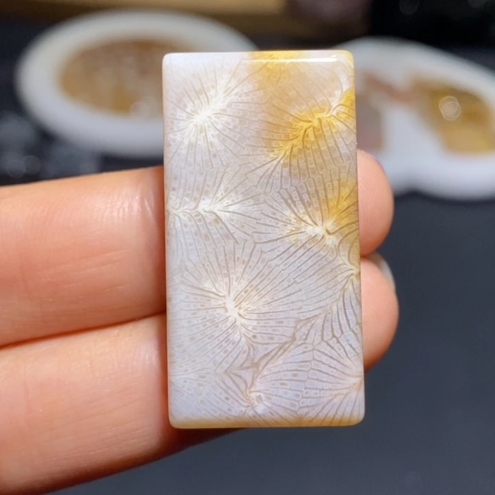 【闪购商品】未镶嵌珊瑚玉硅化玉