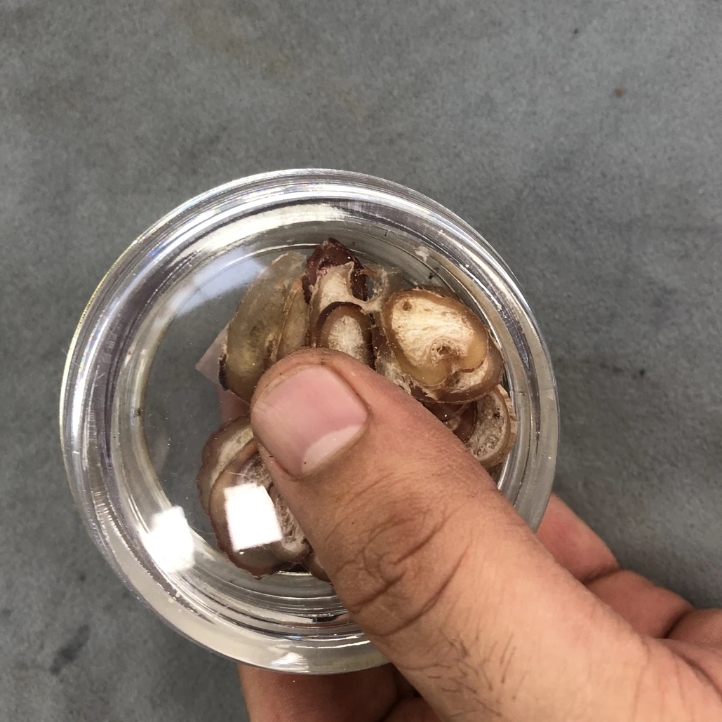 512号特色工艺品花梨木手把件