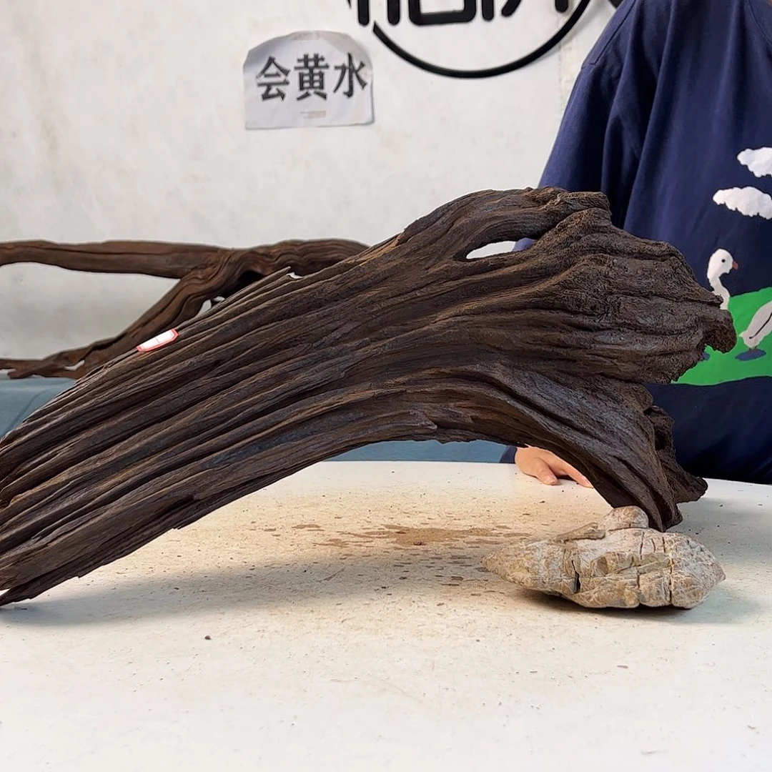 沉木造景寄居蟹景