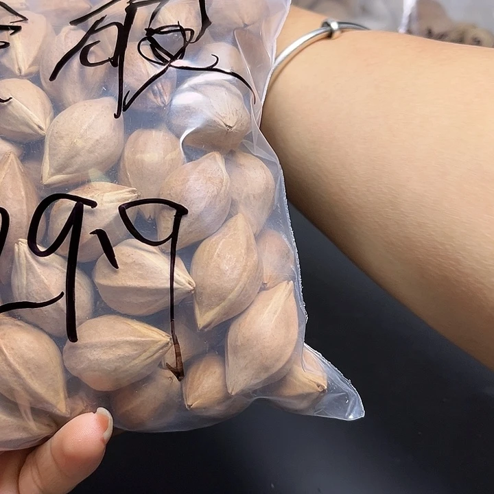 ****破手串/手链橄榄核111